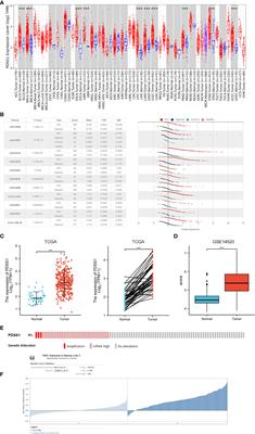 A novel HCC prognosis predictor PDSS1 affects the cell cycle through the STAT3 signaling pathway in HCC